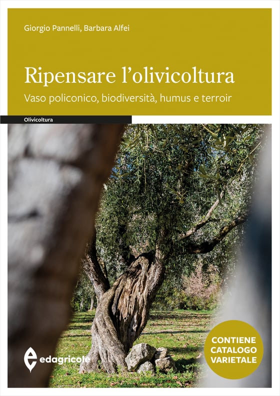 5684 RGB Ripensare lolivicoltura-copertina alta definizione