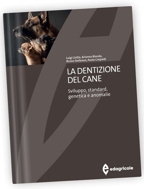 5635 3D La dentizione del cane-copertina alta risoluzione