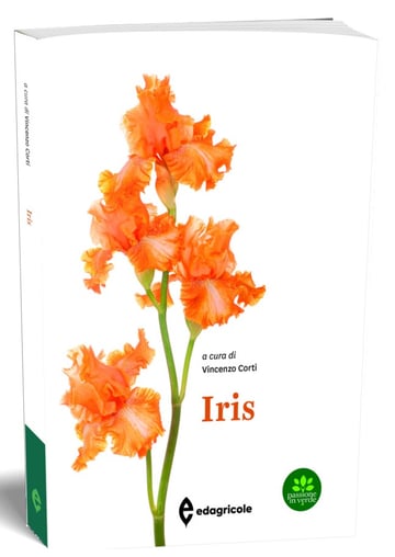 5638 3D Iris-copertina alta risoluzione